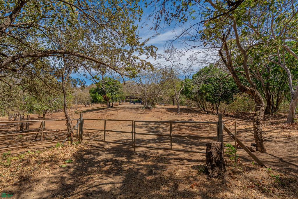 Cerro Grande Estates – Expansive Estate Lot with Equestrian Facilities Near Playa Avellanas & Tamarindo, Costa Rica photo 4