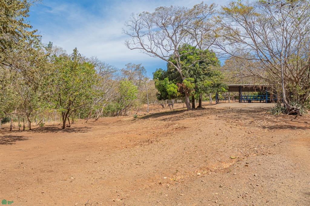 Cerro Grande Estates – Expansive Estate Lot with Equestrian Facilities Near Playa Avellanas & Tamarindo, Costa Rica photo 5