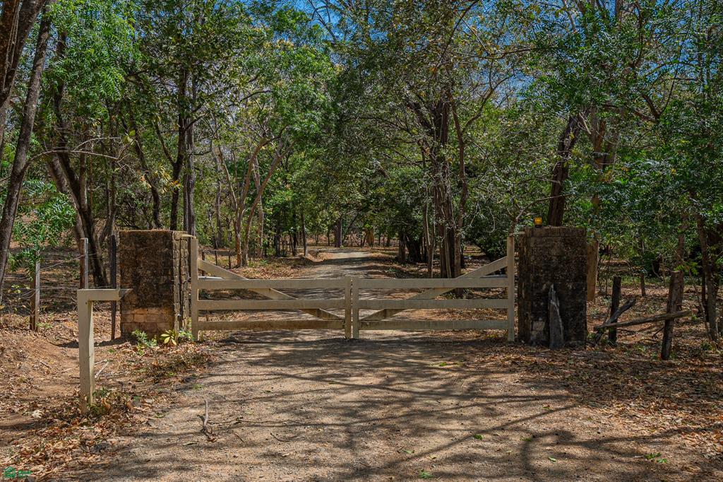 Cerro Grande Equestrian Estate – Turn-Key Horse Property & Luxury Acreage Near Playa Avellanas, Costa Rica photo 1