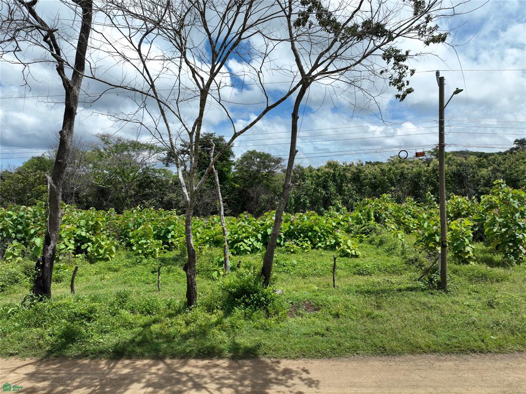 Prime Mixed-Use Lot Between Tamarindo & Avellanas | Rancho Pinilla Opportunity photo 2