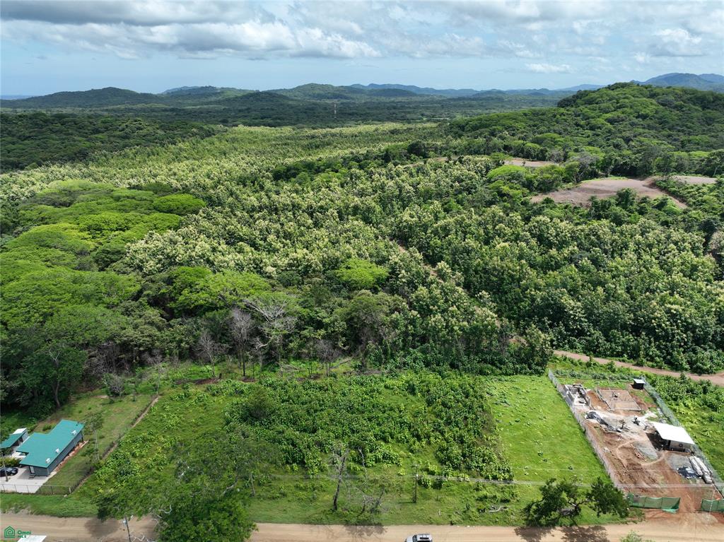Prime Mixed-Use Lot Between Tamarindo & Avellanas | Rancho Pinilla Opportunity photo 3