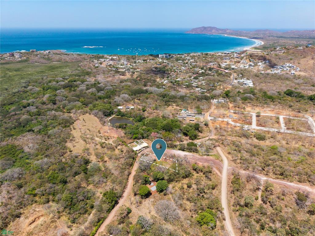 Tamarindo photo 3