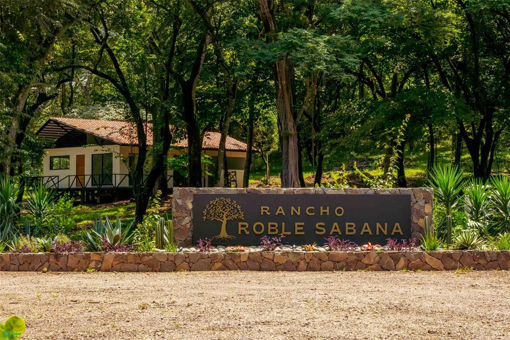 Tamarindo photo 1