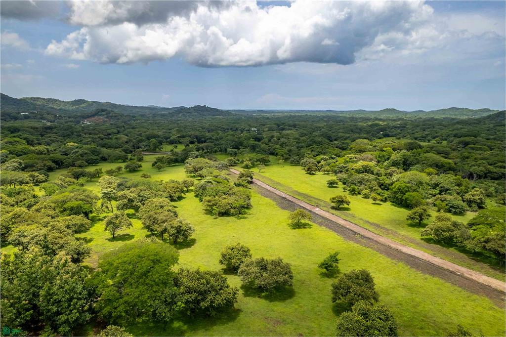 Tamarindo photo 1