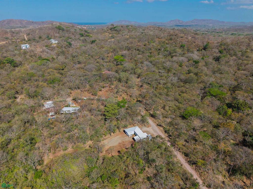 Tamarindo photo 5