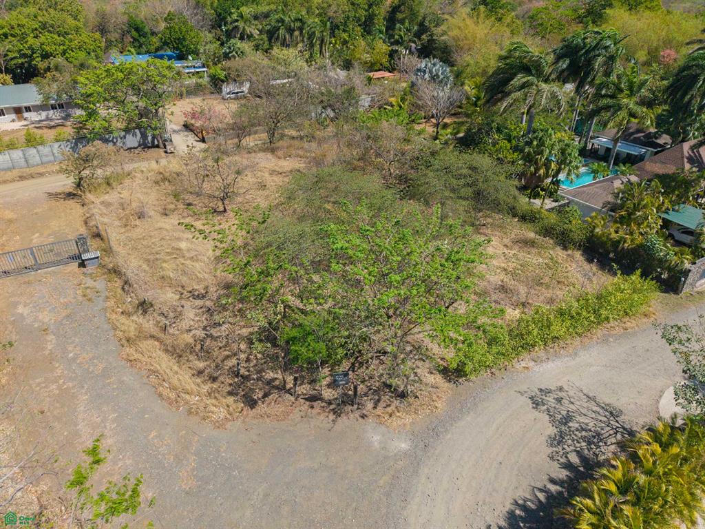 Tamarindo photo 4