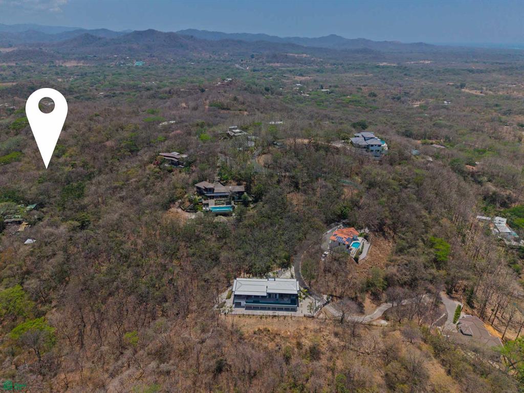Tamarindo photo 3
