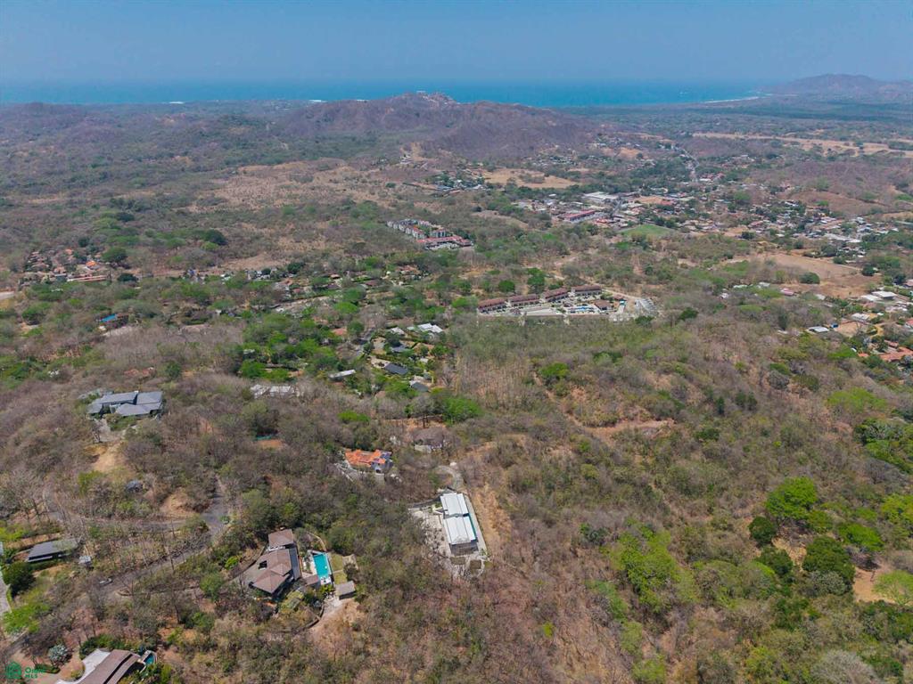 Tamarindo photo 5