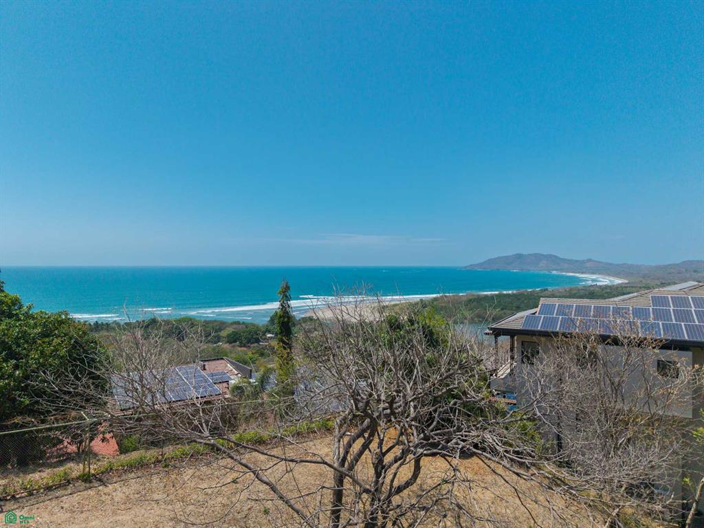 Tamarindo photo 5