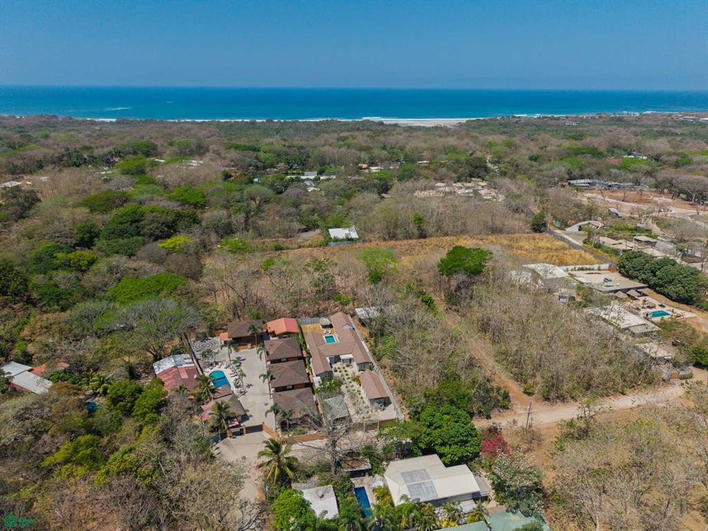 Tamarindo photo 5