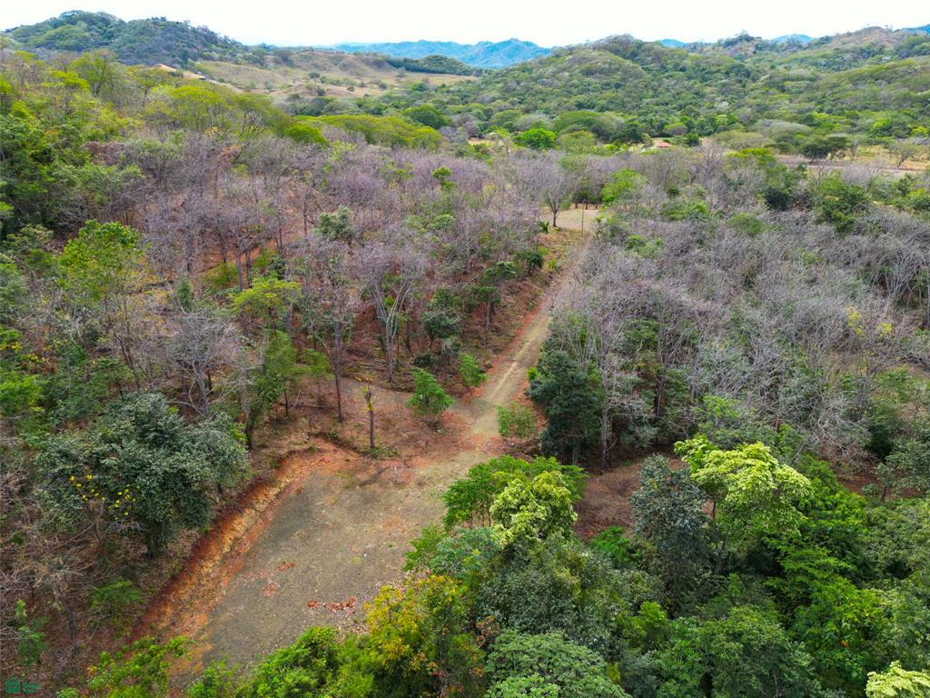 Santa Rosa, Tamarindo photo 3