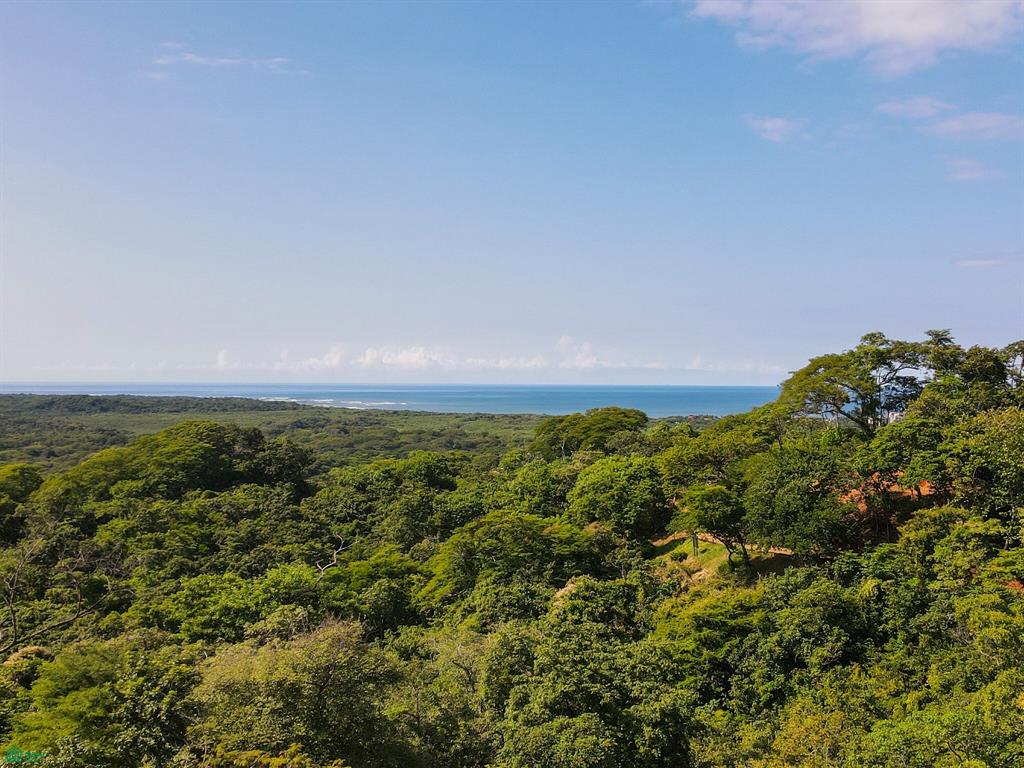 Tamarindo photo 1
