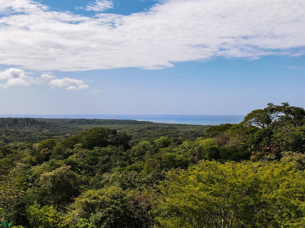 Tamarindo photo 2