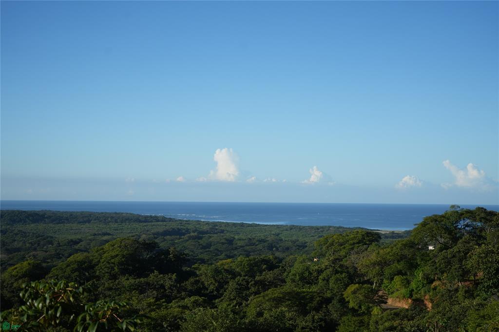 Tamarindo photo 2