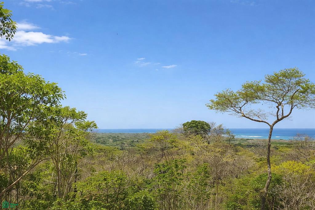 Tamarindo photo 1