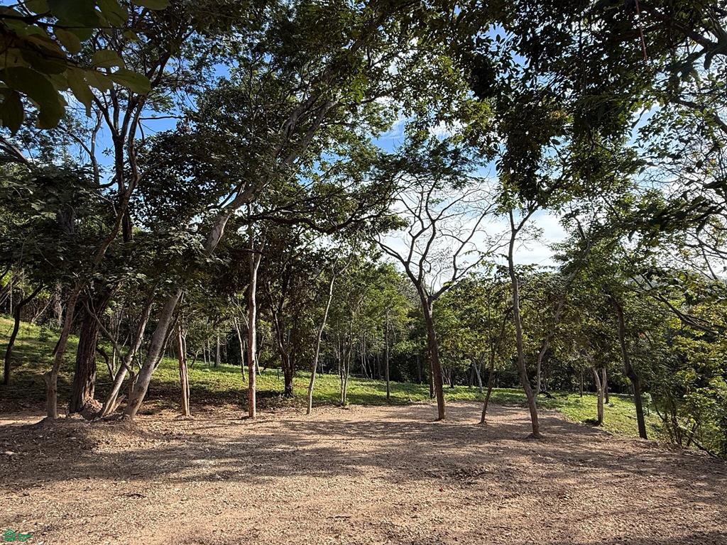 Tamarindo photo 1