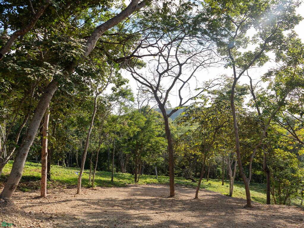Tamarindo photo 2