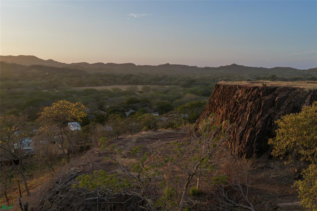 Tamarindo photo 1