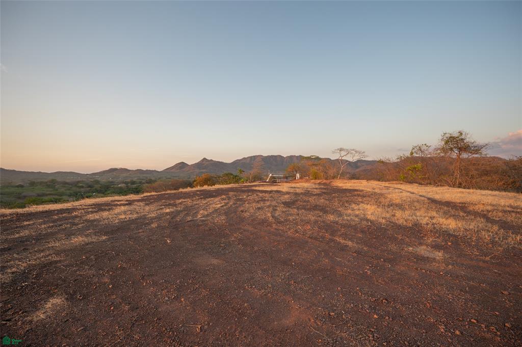 Tamarindo photo 3