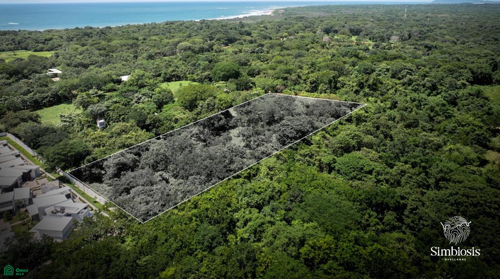 Simbiosis Avellanas – Exclusive 10-Lot Boutique Community Surrounded by Nature photo 5