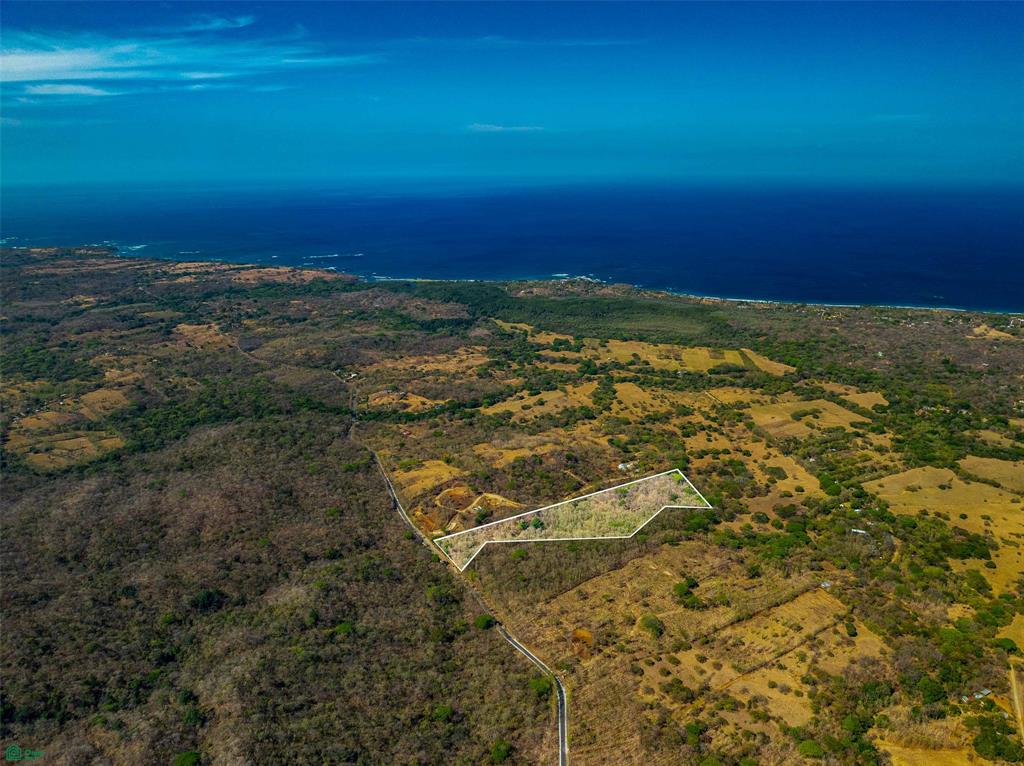 Tamarindo photo 1