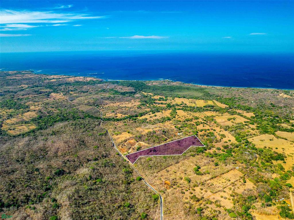 Tamarindo photo 2