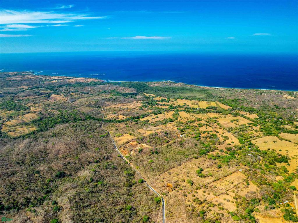 Tamarindo photo 3