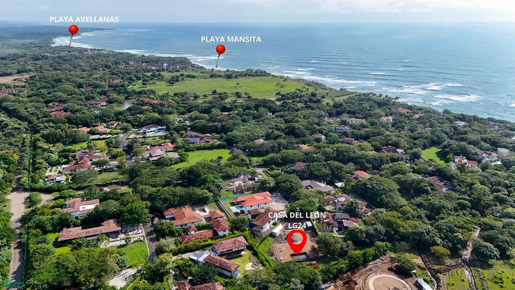 Tamarindo photo 3