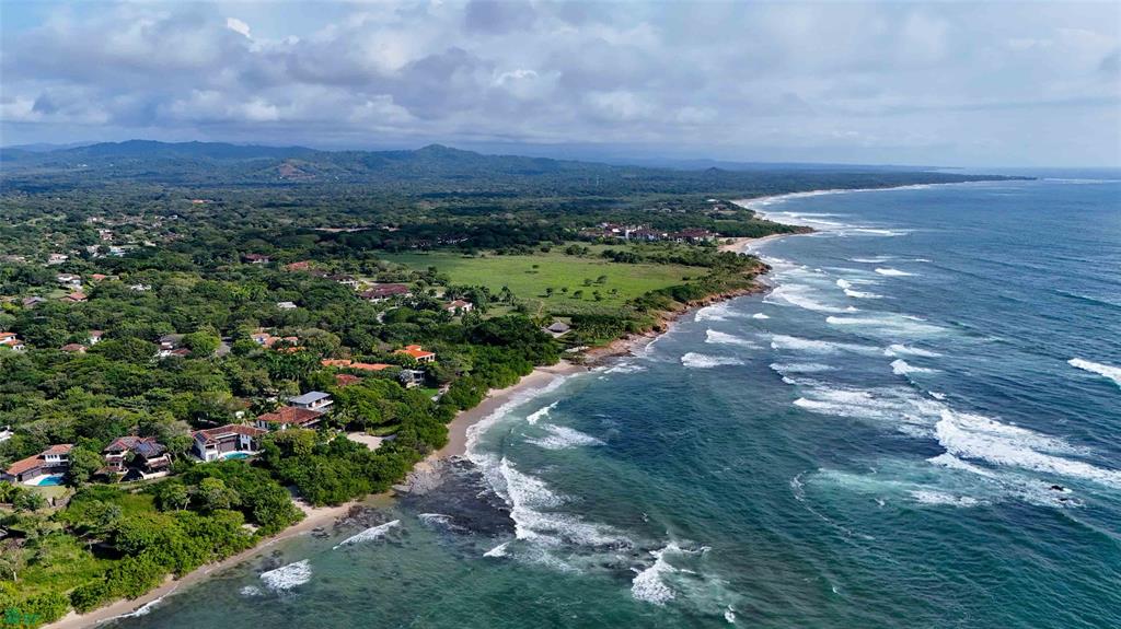 Tamarindo photo 5