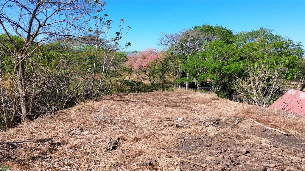 Huacas, Tamarindo photo 3