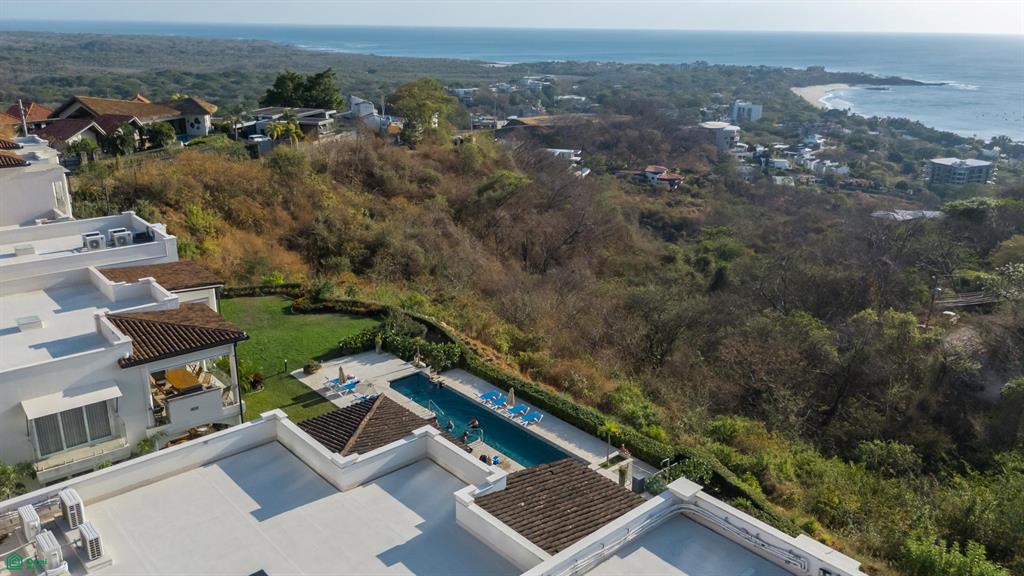 Tamarindo photo 4
