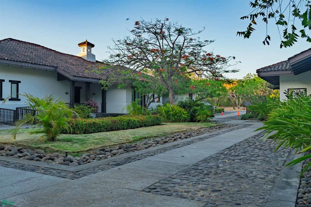 Tamarindo photo 4