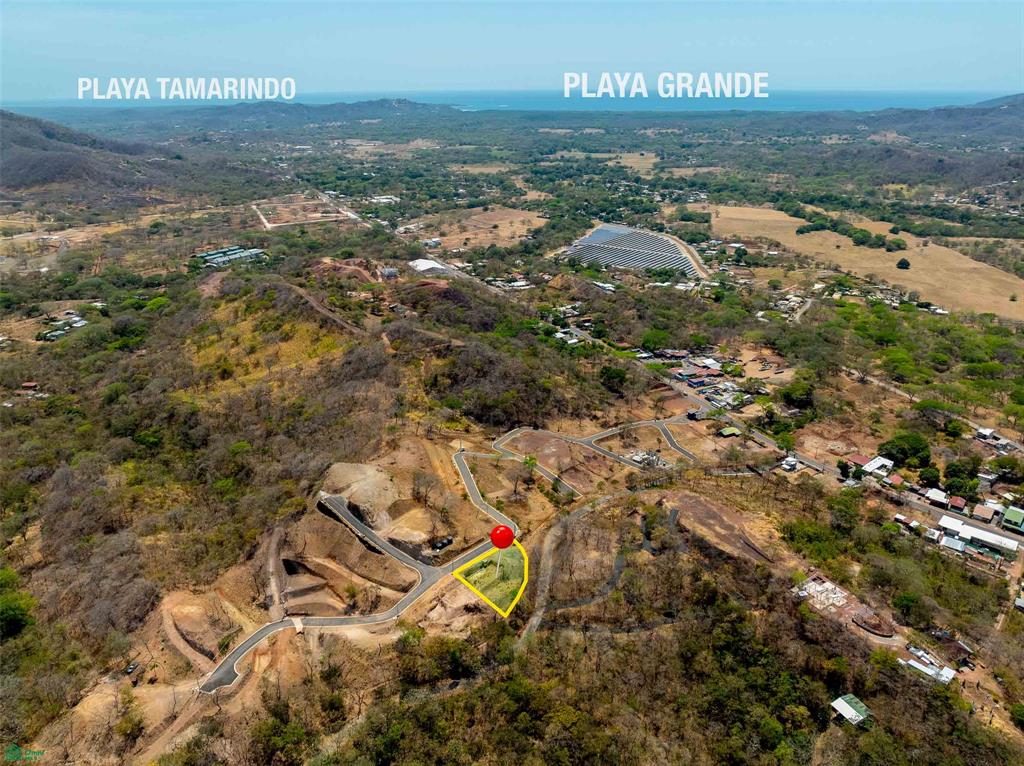 Tamarindo photo 5