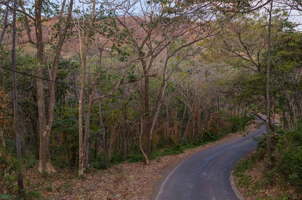 Tamarindo photo 1