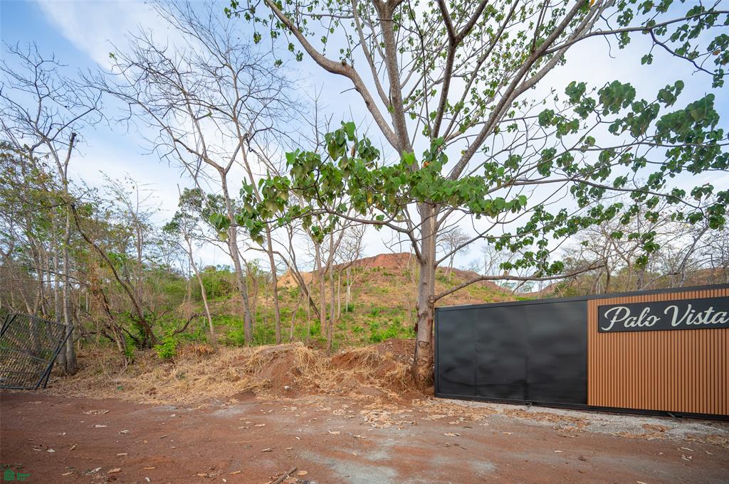 Tamarindo photo 4
