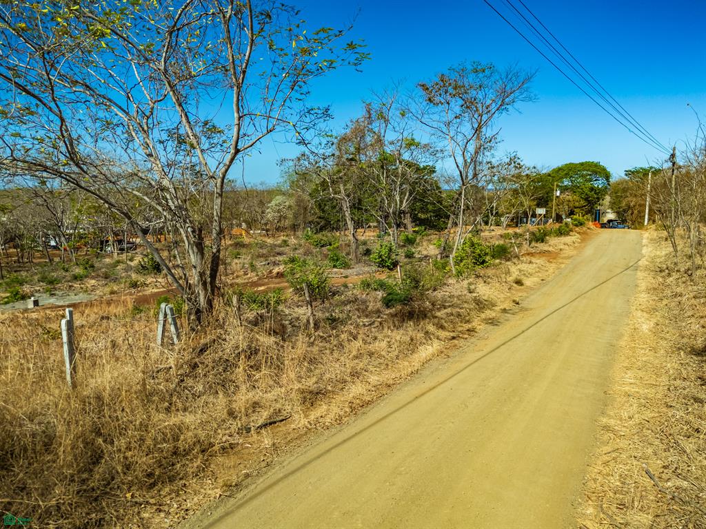 Tamarindo photo 2