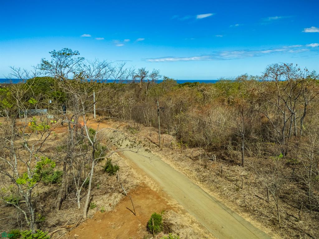 Tamarindo photo 4