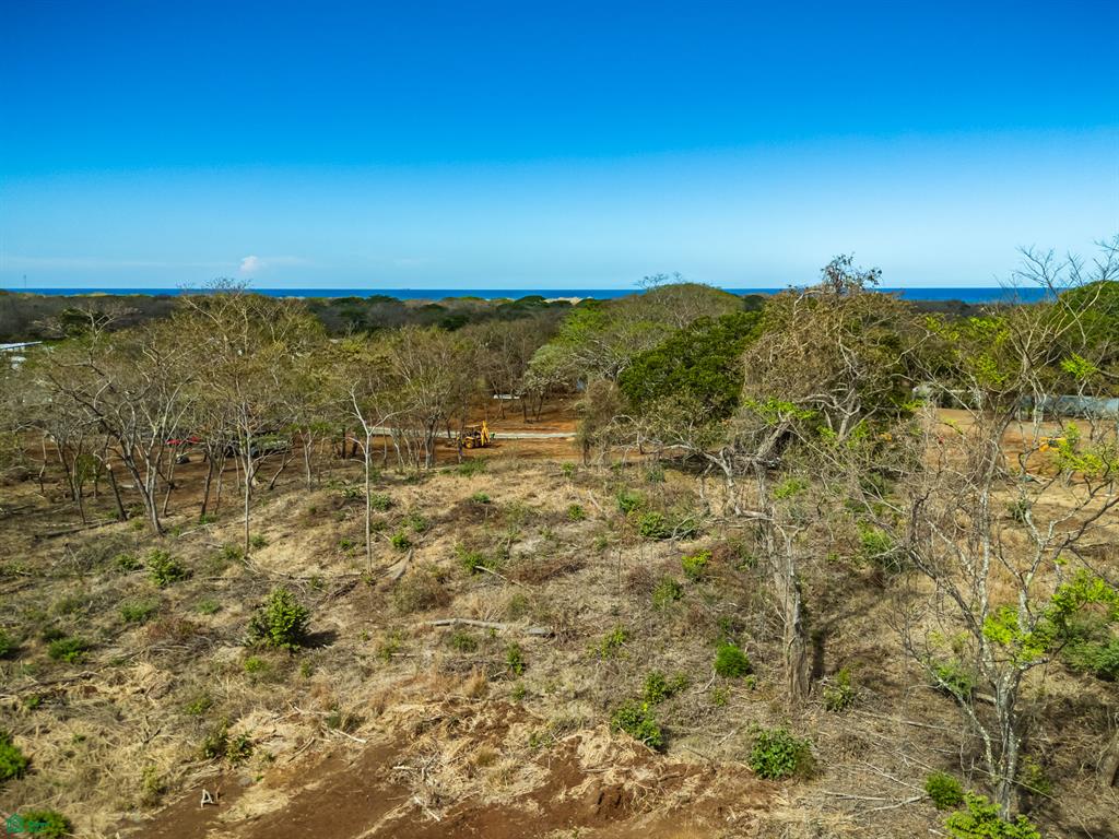 Tamarindo photo 5