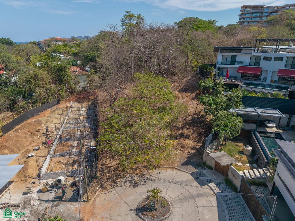 Tamarindo photo 1