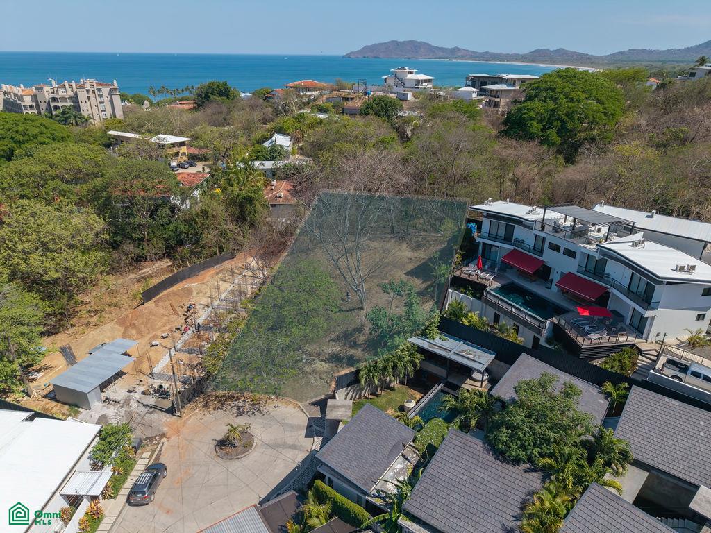 Tamarindo photo 2