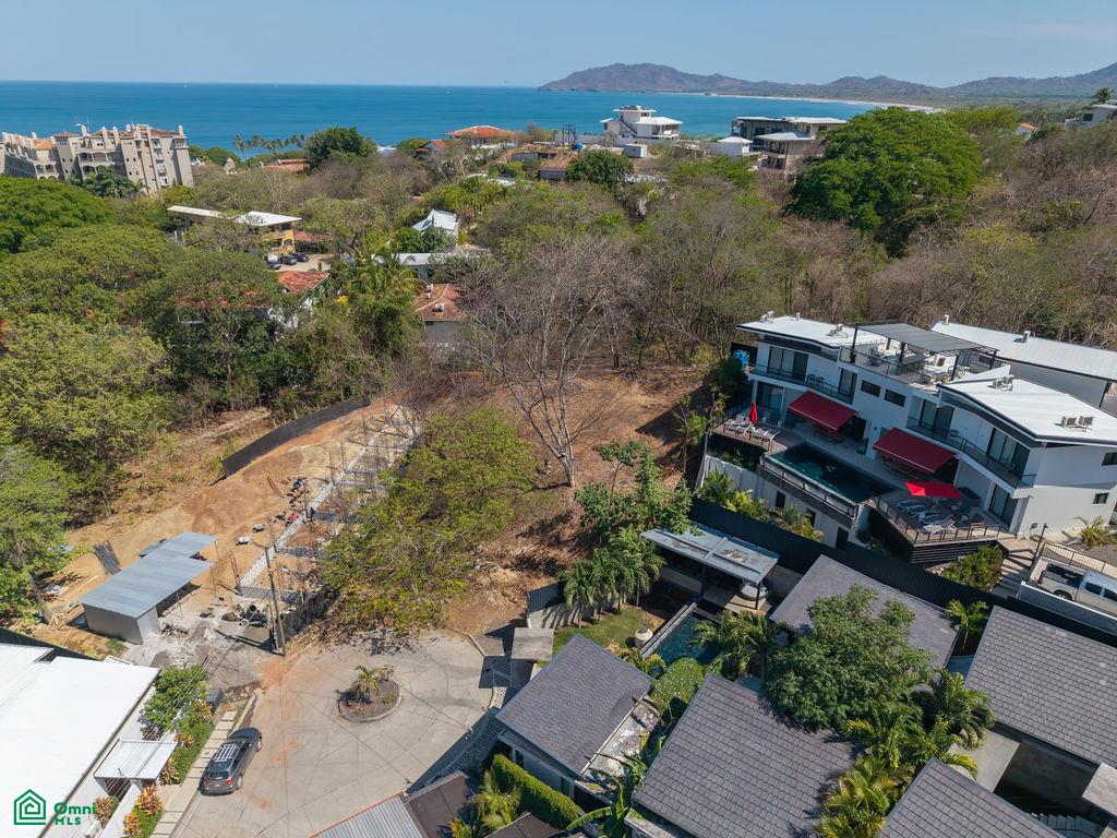 Tamarindo photo 3