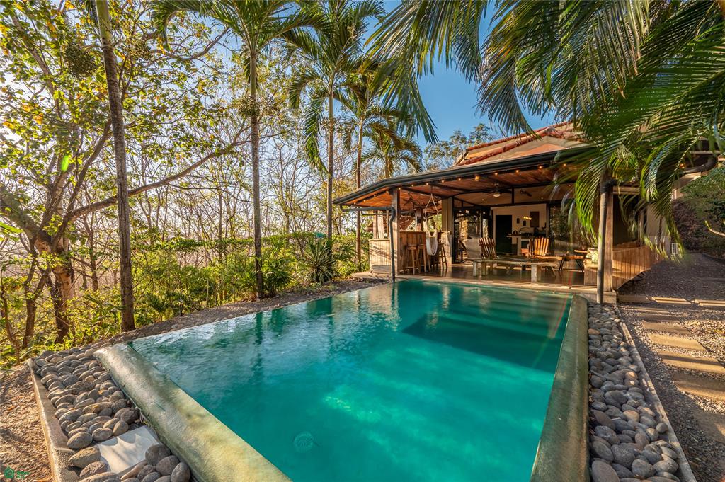 Tamarindo photo 1