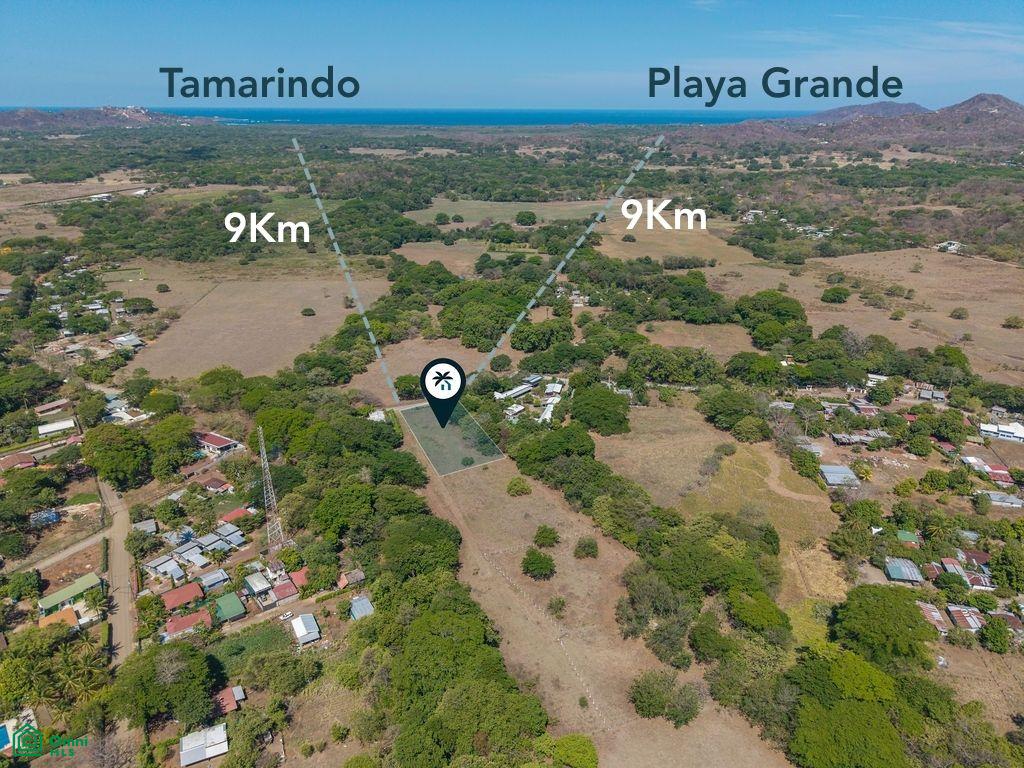 Lagarita Nueva, Tamarindo photo 3
