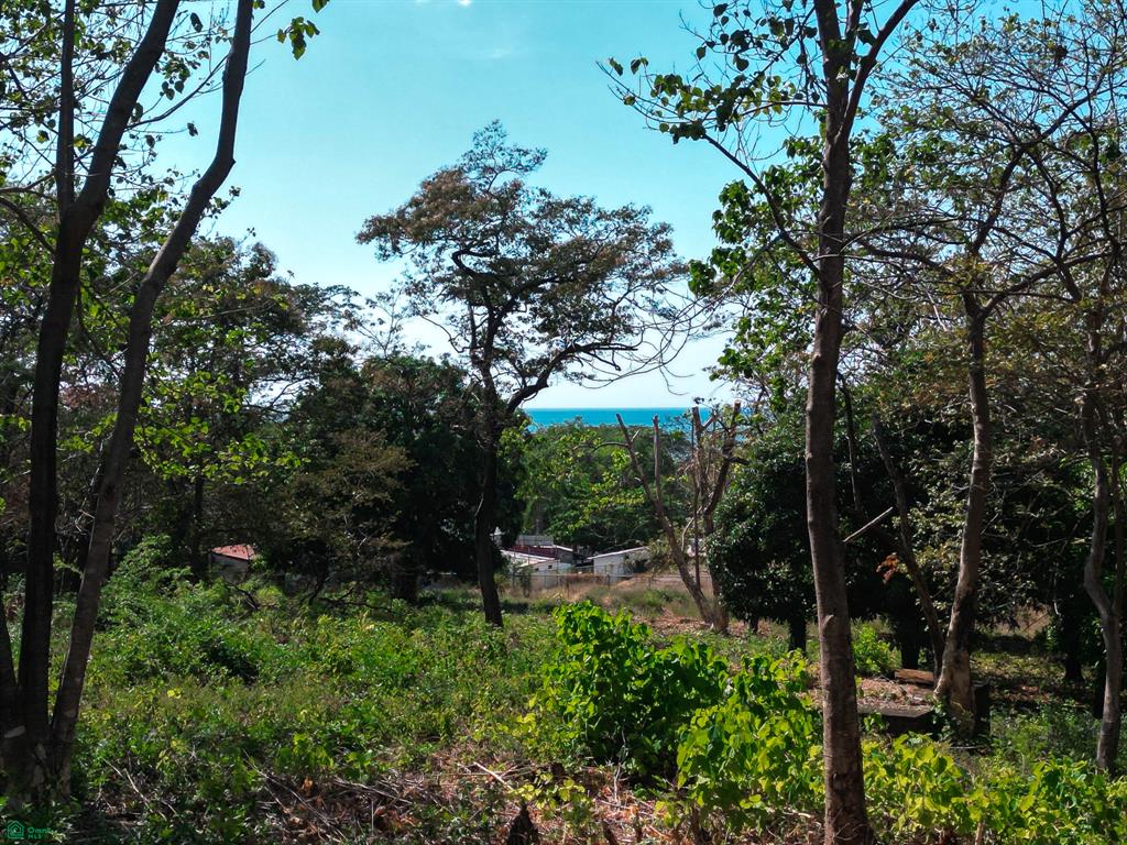 Tamarindo, Tamarindo photo 4