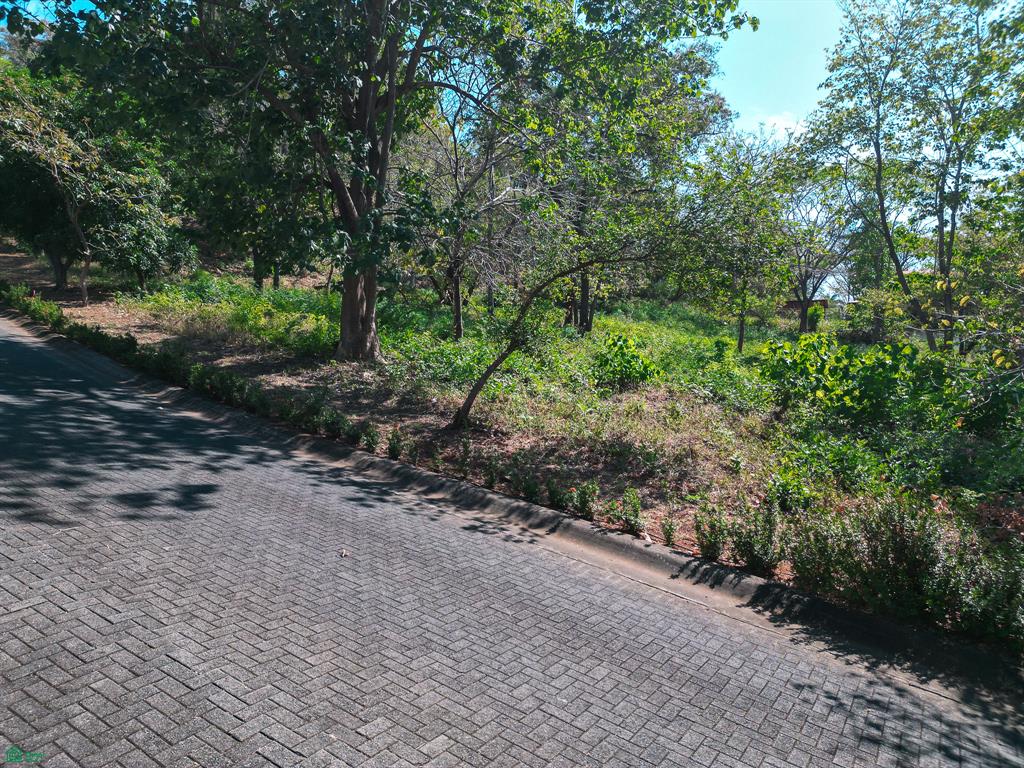 Tamarindo, Tamarindo photo 5