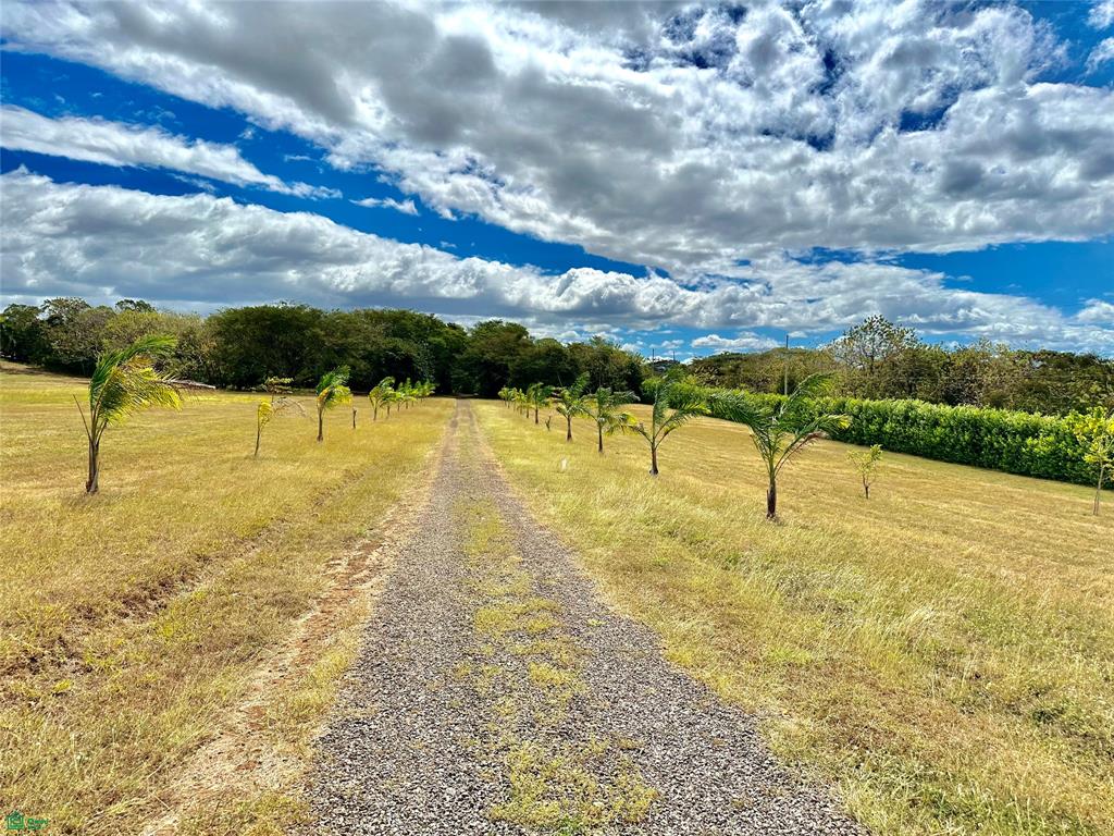 Santa Cruz photo 5