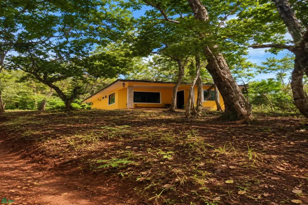 Tamarindo photo 3