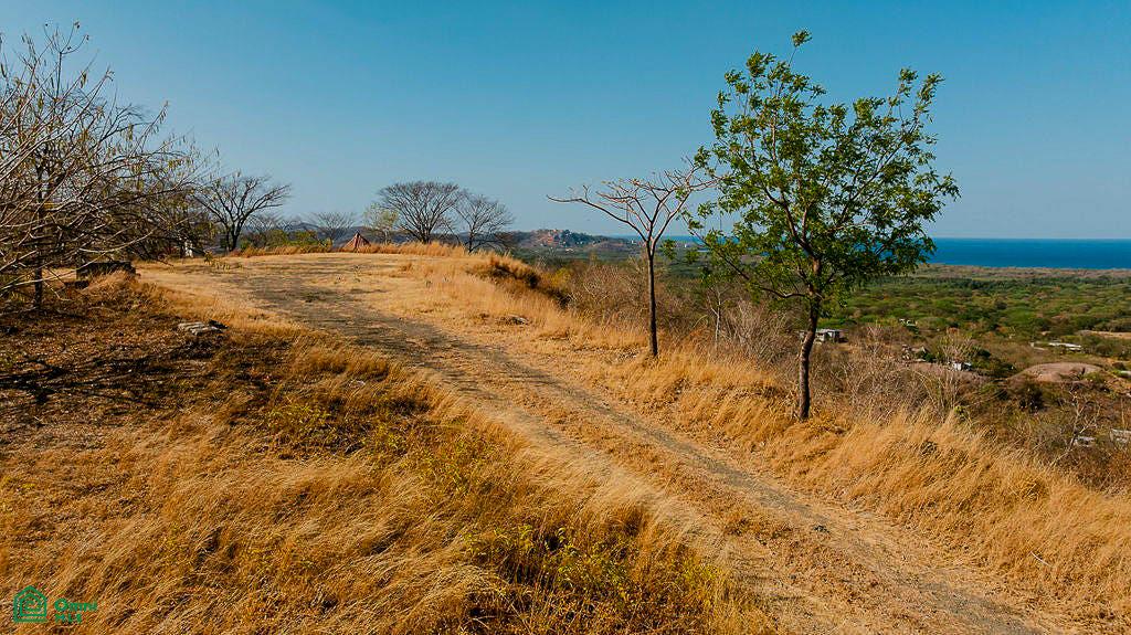 Tamarindo photo 2