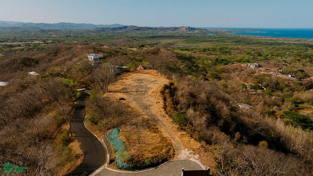 Tamarindo photo 3