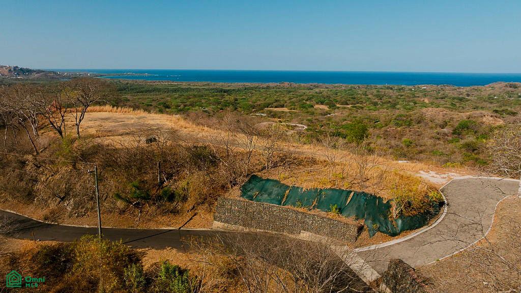 Tamarindo photo 4